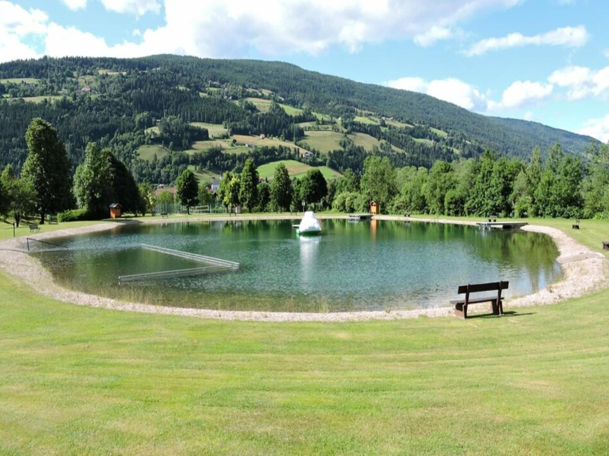 Chalet In Stadl An Der Mur Styria With Terrace Extérieur photo